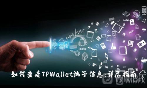 如何查看TPWallet池子信息：详尽指南
