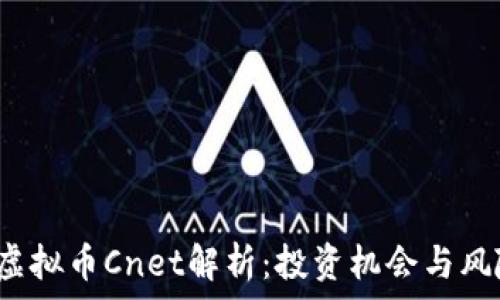   
2023年虚拟币Cnet解析：投资机会与风险全解析