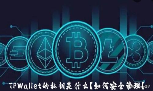 
TPWallet的私钥是什么？如何安全管理？