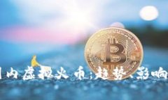 深入了解国内虚拟火币：