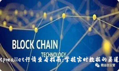 tpwallet行情查看指南：掌握实时数据的渠道