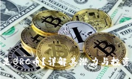 什么是BRC币？详解其潜力与投资价值
