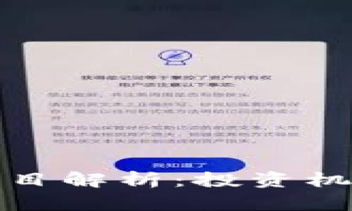 顶级虚拟币项目解析：投资机会与潜在风险