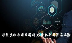 顶级虚拟币项目解析：投