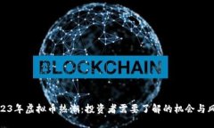 2023年虚拟币热潮：投资者
