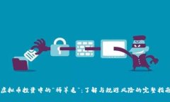 虚拟币投资中的“褥羊毛