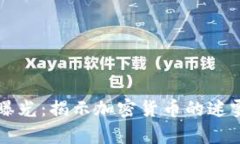 虚拟币曝光：揭示加密货