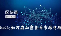 虚拟币Musk：如何在加密货
