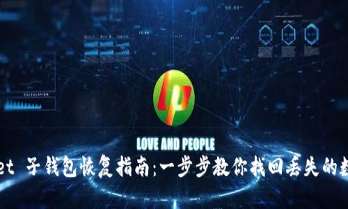 TPWallet 子钱包恢复指南：一步步教你找回丢失的数字资产