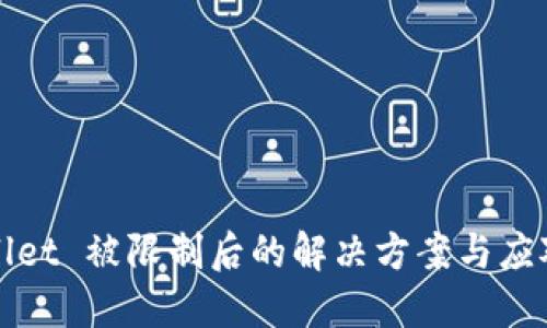 TPWallet 被限制后的解决方案与应对技巧