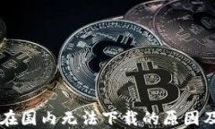 TPWallet在国内无法下载的原