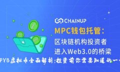 TPYB虚拟币全面解析：投资