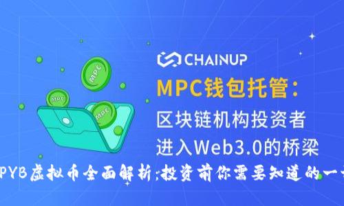 TPYB虚拟币全面解析：投资前你需要知道的一切