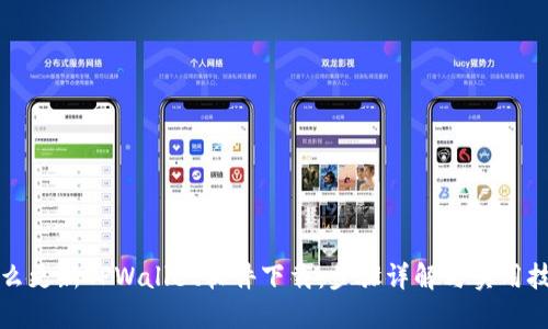 怎么更新TPWallet软件下载：步骤详解与实用技巧