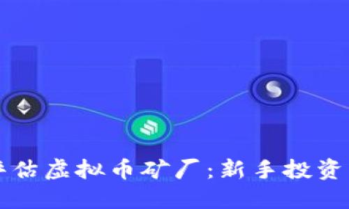 如何选择和评估虚拟币矿厂：新手投资者的全面指南