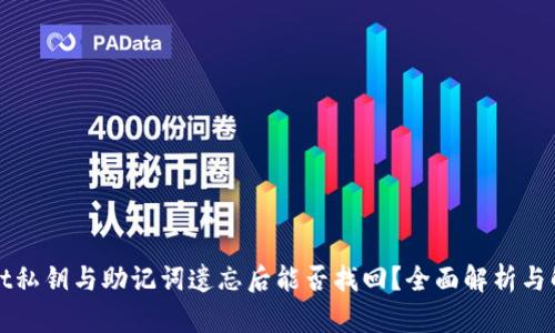 tpWallet私钥与助记词遗忘后能否找回？全面解析与解决方案