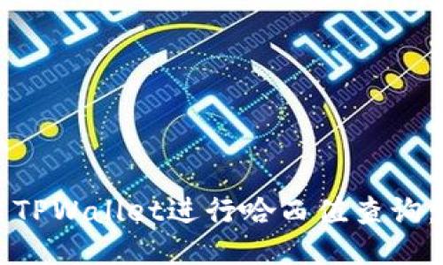 如何使用TPWallet进行哈西值查询：全面指南