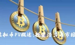 2023年虚拟币PV概述：投资