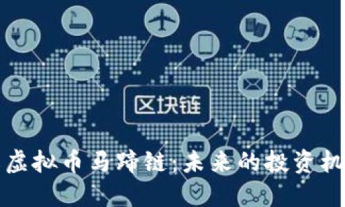 深入了解虚拟币马蹄链：未来的投资机会与挑战