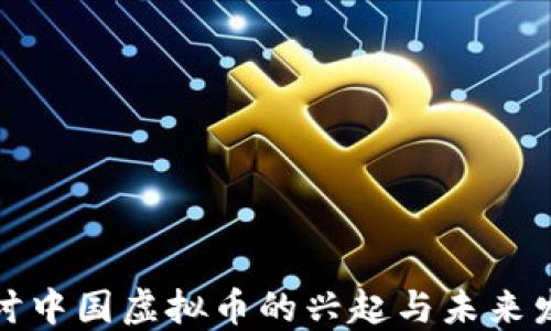 
探讨中国虚拟币的兴起与未来发展