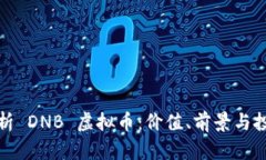 全面解析 DNB 虚拟币：价值