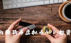 全面解析国内狗狗币虚拟