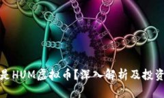 什么是HUM虚拟币？深入解