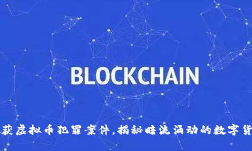 贵阳破获虚拟币犯罪案件，揭秘暗流涌动的数字货币世界