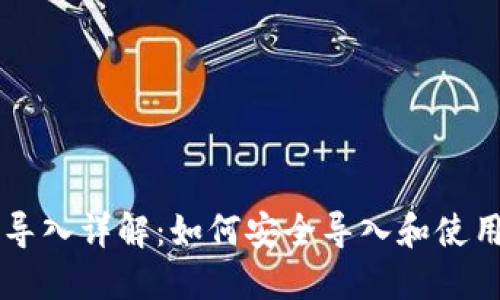 TPWallet私钥导入详解：如何安全导入和使用你的数字资产