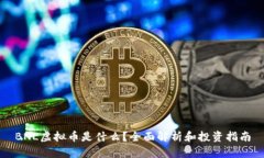 BNL虚拟币是什么？全面解