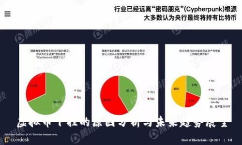 虚拟币下挫的原因分析与未来趋势展望