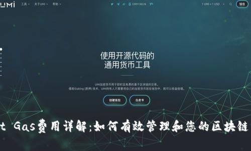 TPWallet Gas费用详解：如何有效管理和您的区块链交易费用