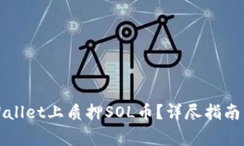 如何在TPWallet上质押SOL币？详尽指南与注意事项