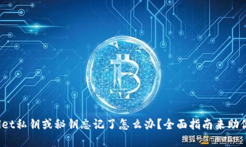 tpwallet私钥或秘钥忘记了怎么办？全面指南来助你找回！