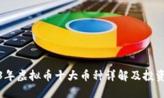 2023年虚拟币十大币种详解