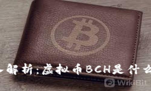 深入解析：虚拟币BCH是什么币？