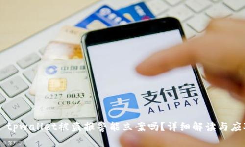 ### tpwallet被盗报警能立案吗？详细解读与应对指南