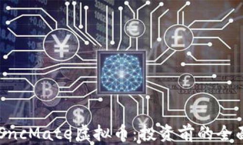 
了解SncMate虚拟币：投资前的全面指南