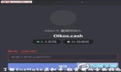 了解SncMate虚拟币：投资前