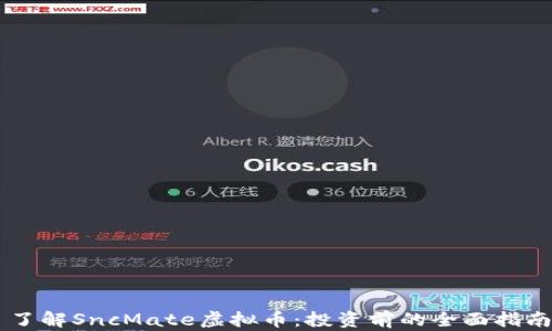 
了解SncMate虚拟币：投资前的全面指南