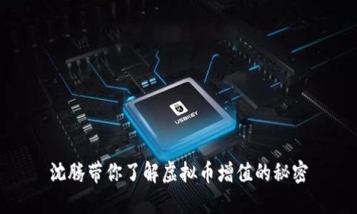 沈腾带你了解虚拟币增值的秘密