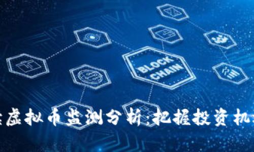 全面解读虚拟币监测分析：把握投资机遇与风险