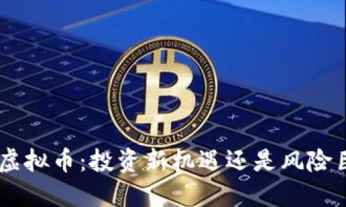FNK虚拟币：投资新机遇还是风险巨大？
