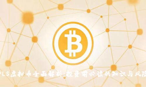 PLS虚拟币全面解析：投资前必读的知识与风险