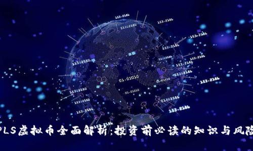 PLS虚拟币全面解析：投资前必读的知识与风险