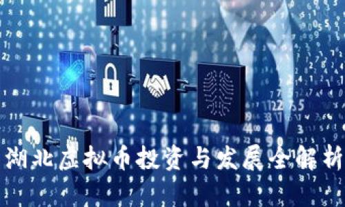 湖北虚拟币投资与发展全解析