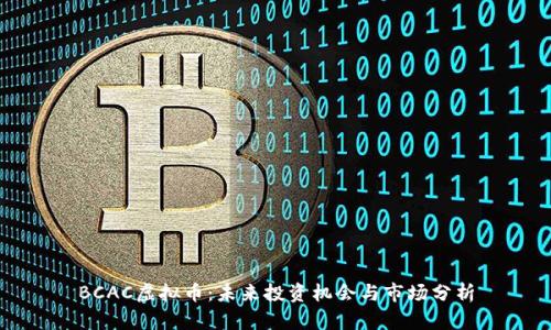 BCAC虚拟币：未来投资机会与市场分析