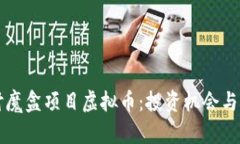 深入探讨魔盒项目虚拟币