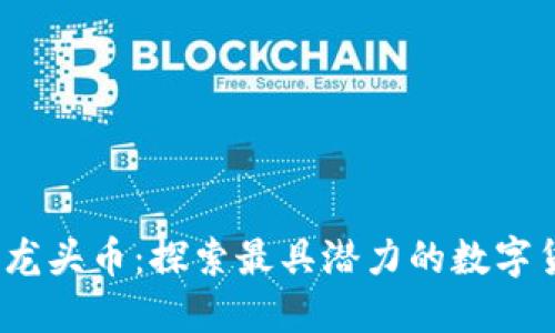  香港虚拟币龙头币：探索最具潜力的数字货币投资机会