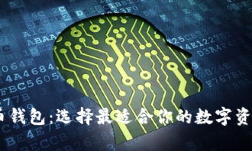 USDT虚拟币钱包：选择最适合你的数字资产存储方式